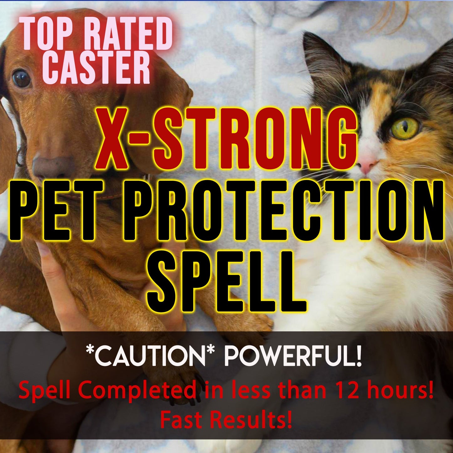 Dog and cat with text claiming 'X-Strong Pet Protection Spell' and 'Top Rated Caster'.